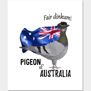 Pigeon of Australia Posters and Art